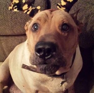 Meet your Posher, Rhonda